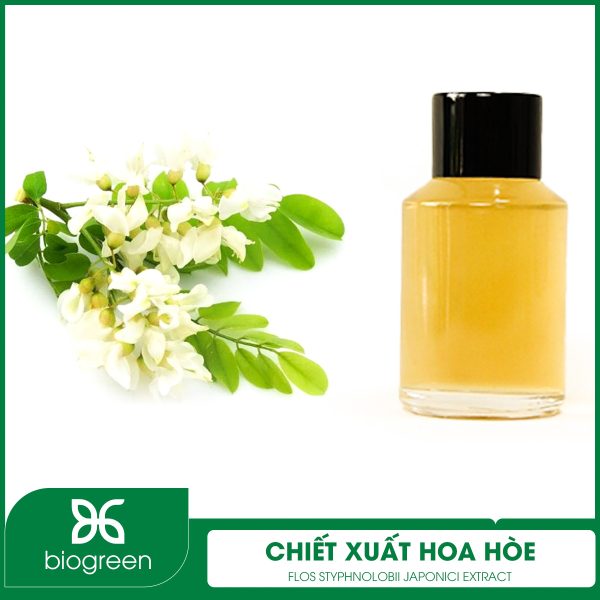 Công dụng của chiết xuất hoa hòe là gì?